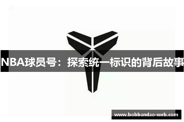 NBA球员号：探索统一标识的背后故事