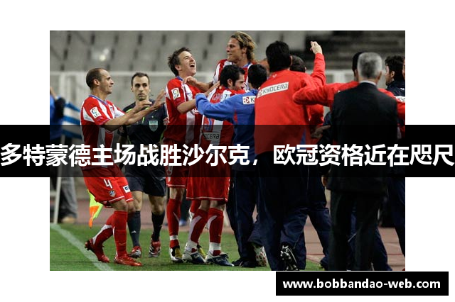 多特蒙德主场战胜沙尔克，欧冠资格近在咫尺