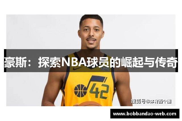 豪斯：探索NBA球员的崛起与传奇