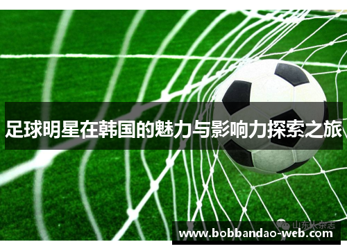 足球明星在韩国的魅力与影响力探索之旅